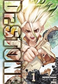 Dr. Stone