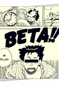large_Beta
