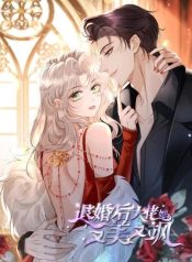 large_退婚后大佬她又美又飒
